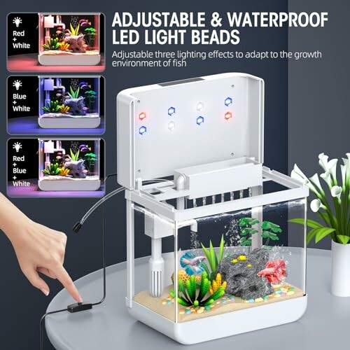 Adjustable LED light aquarium with three lighting effects.