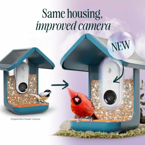 Bird Buddy® Pro Solar Bird Feeder