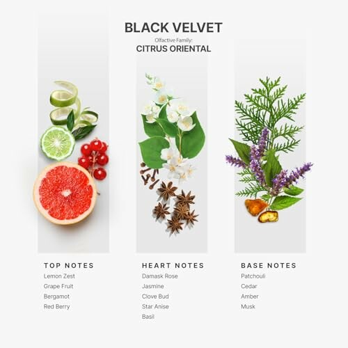 Fragrance notes of Black Velvet with top, heart, and base notes.