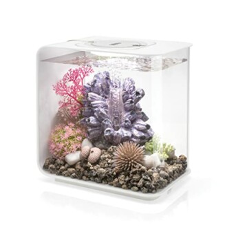 Compact aquarium with colorful coral and rocks