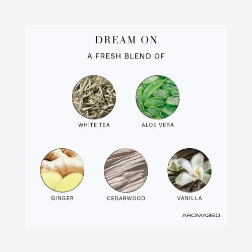 Image displaying ingredients of a fresh blend: white tea, aloe vera, ginger, cedarwood, vanilla.