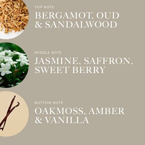 Fragrance notes with bergamot, oud, sandalwood, jasmine, saffron, sweet berry, oakmoss, amber, vanilla.