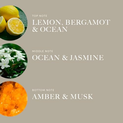 Fragrance notes with lemon, jasmine, and amber visuals.