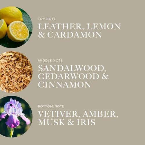 Fragrance notes: top note with leather, lemon, cardamom; middle note with sandalwood, cedarwood, cinnamon; bottom note with vetiver, amber, musk, iris.