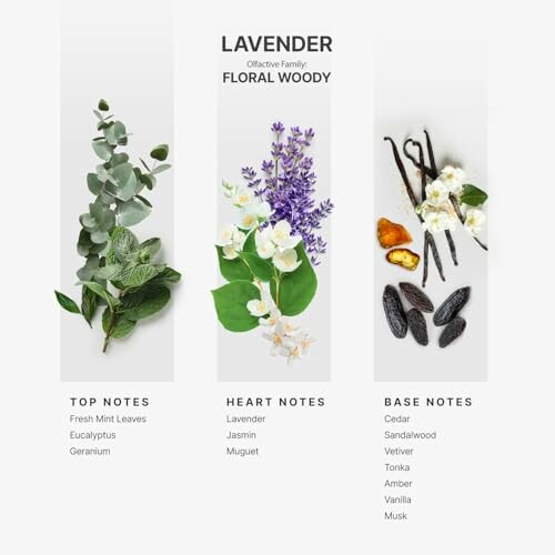 Fragrance notes with lavender, eucalyptus, jasmine, and vanilla.