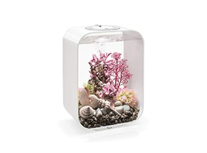 Compact modern aquarium with pink coral and decorative sculpture