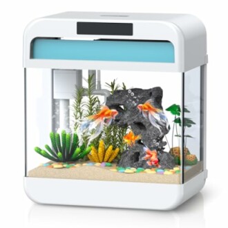 Small modern aquarium with goldfish and decorative plants.