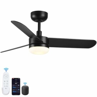 Wellspeed Ceiling Fan with Light