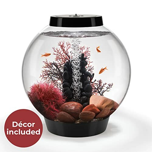 Fish bowl with decorative plants and rocks, featuring small fish.
