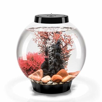 Round fishbowl aquarium with pink corals and black stones