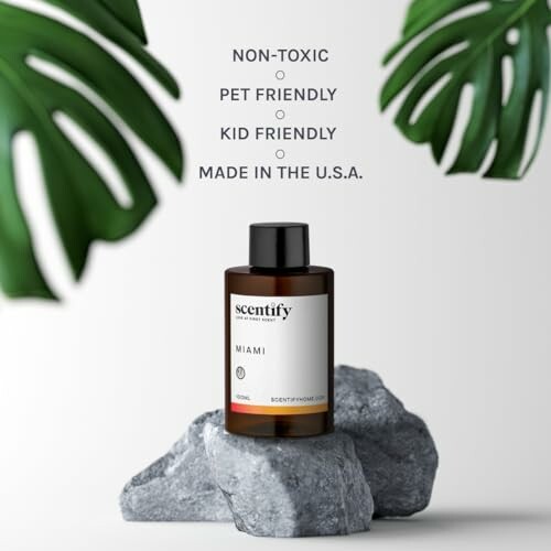 Scentify Miami essential oil on rocks with leaves
